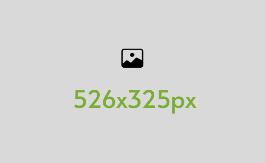 Manutenção e Cuidados